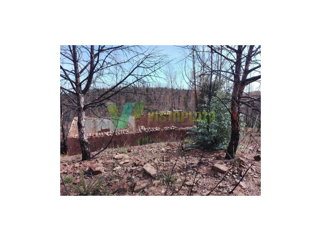 Terreno Misto com Ruína para Recuperar Silves. - Grande imagem: 5/13