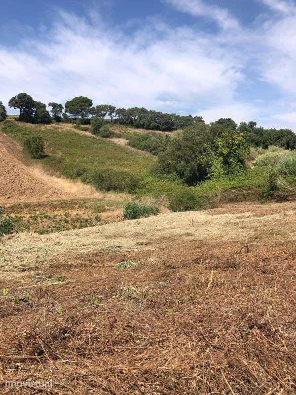 Terreno  para venda - Grande imagem: 2/13