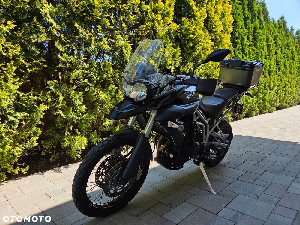 Triumph Tiger - 1
