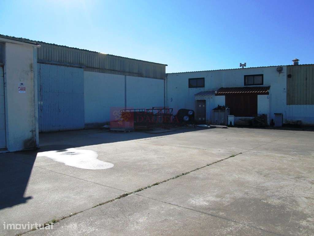 SÃO PEDRO DA CADEIRA-SOLTARIA - ARMAZÉM COM 180 M2 - Grande imagem: 2/6