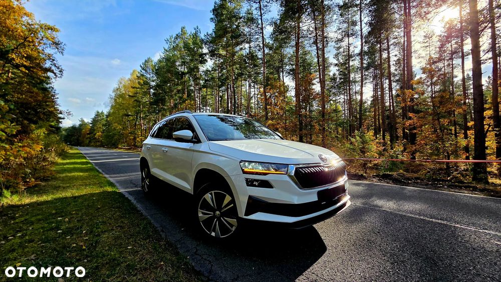 Skoda Karoq 2.0 TDI SCR 4x2 Sportline - 5