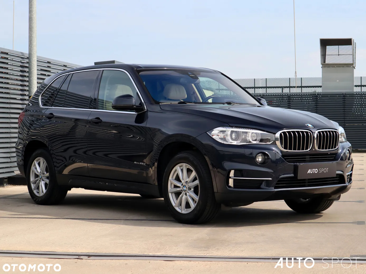 BMW X5 xDrive25d - 8