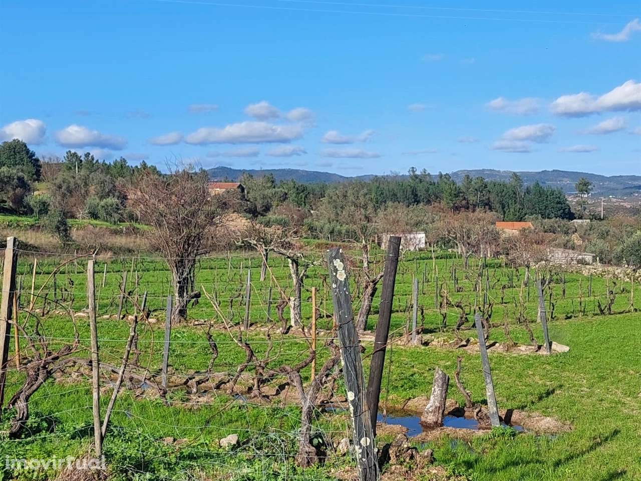 Quinta  Venda em Ribamondego,Gouveia - Grande imagem: 2/11