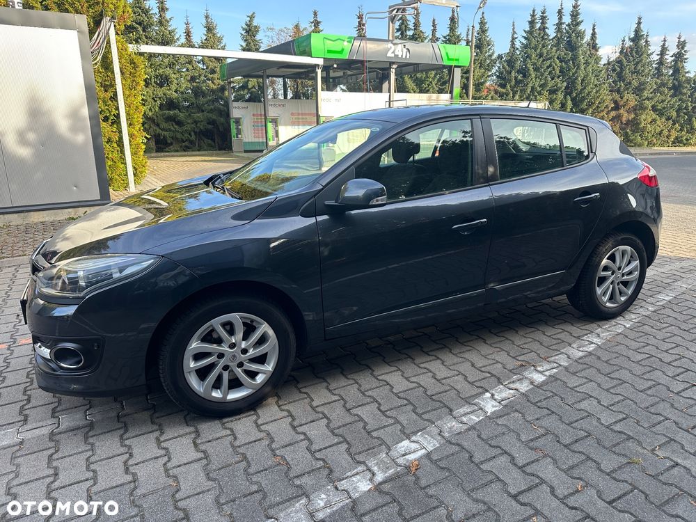 Renault Megane 1.6 16V 110 Paris - 16
