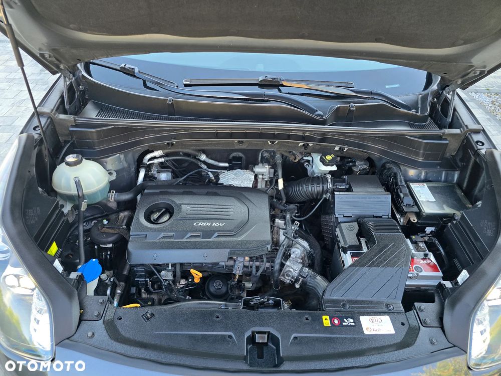 Kia Sportage - 39