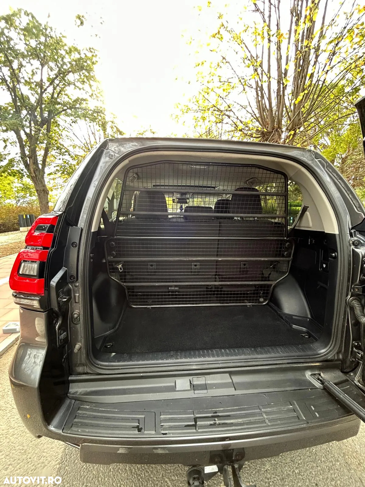 Toyota Land Cruiser 2.8l Turbo D-4D A/T Executive - 7