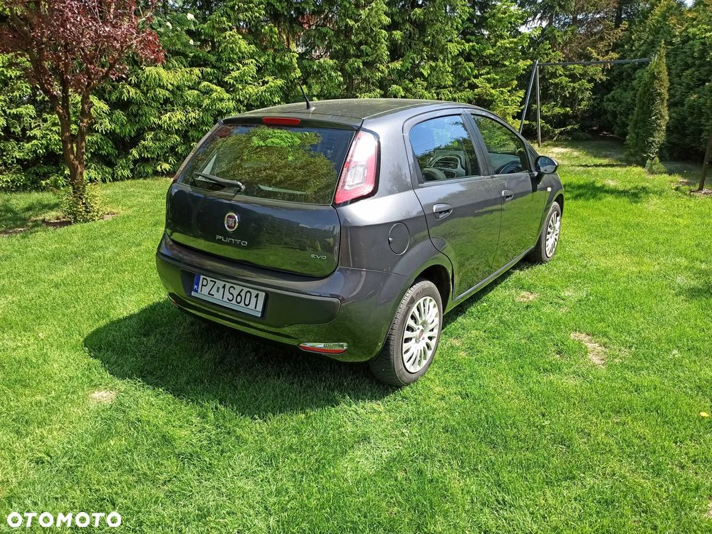 Fiat Punto Evo 1.3 Multijet 16V Active Euro5 - 13