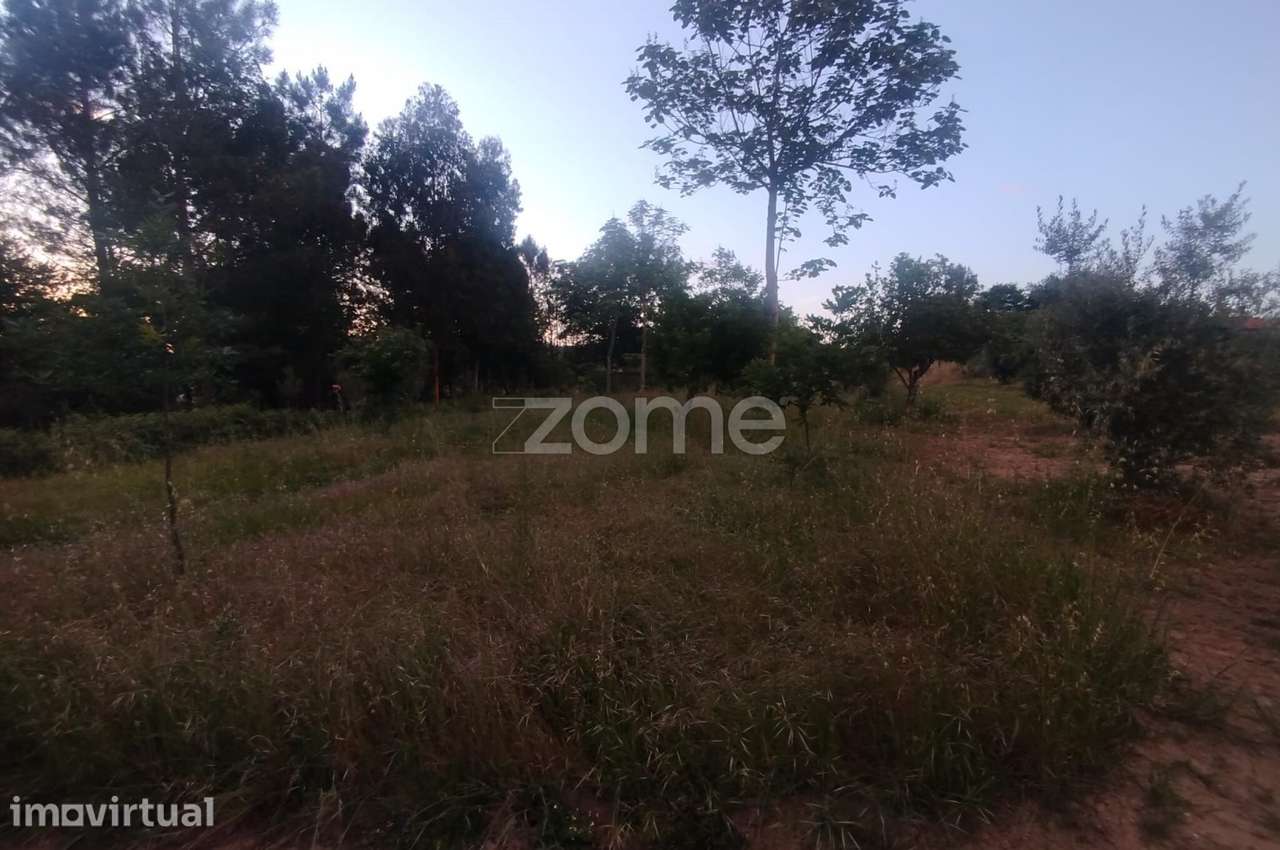 Terreno para construir o seu Sonho - Grande imagem: 2/21
