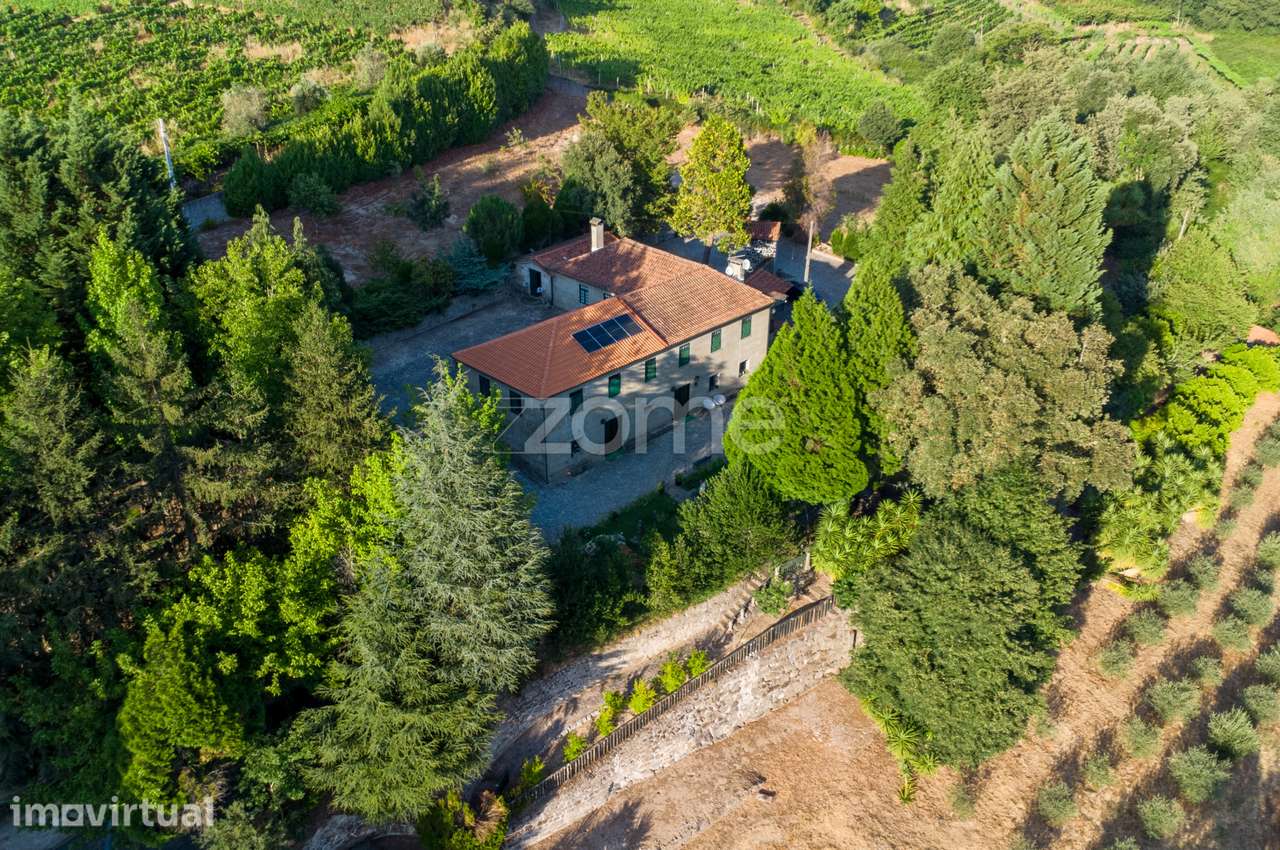 Quinta em alojamento local com terreno de 15.000 m2 - Cartida, Baião - Grande imagem: 5/60