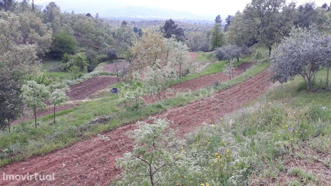 Quinta / Fundão, Pêro Viseu - Grande imagem: 3/10