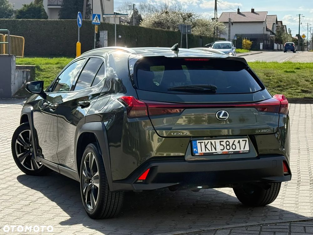 Lexus UX 250h F Sport 2WD - 15