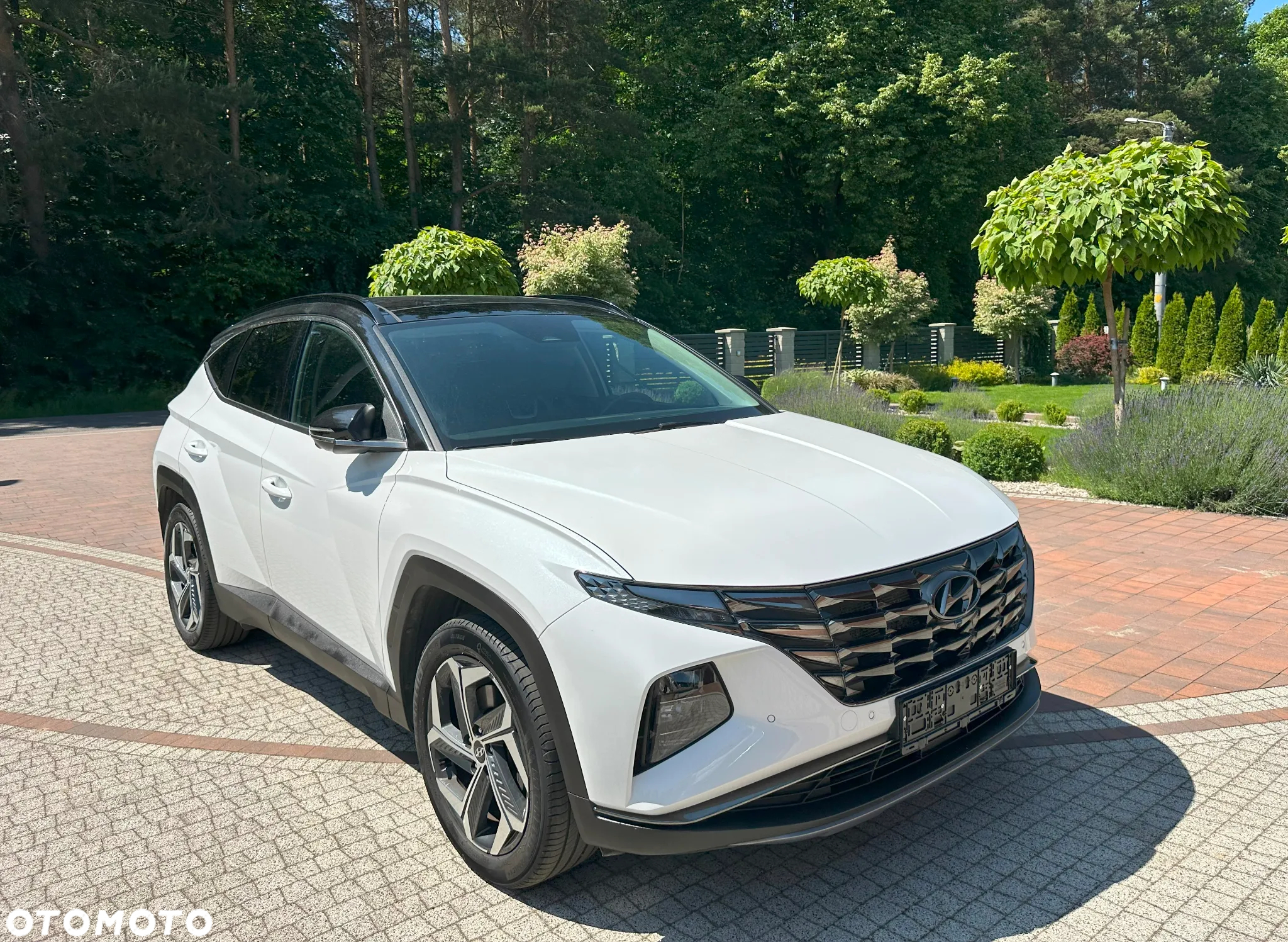Hyundai Tucson 1.6 CRDi 48V-Hybrid 2WD DCT Prime - 21