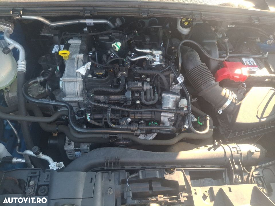 Ford Puma - 23