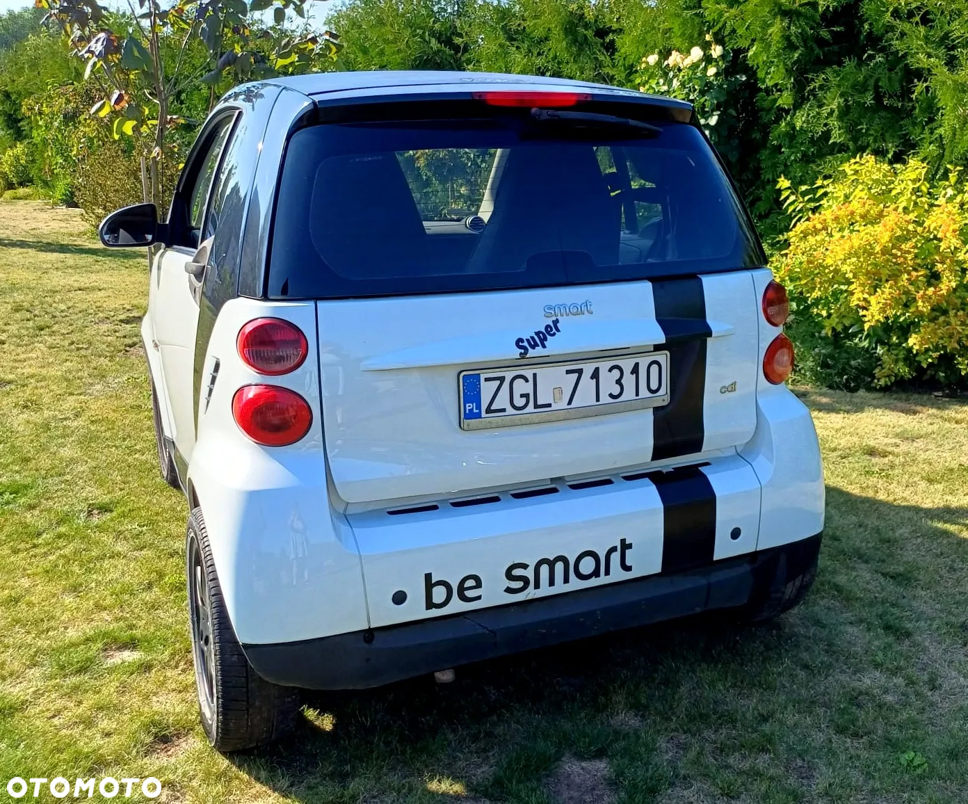 Smart Fortwo cdi coupe softouch black&white limited dpf - 8