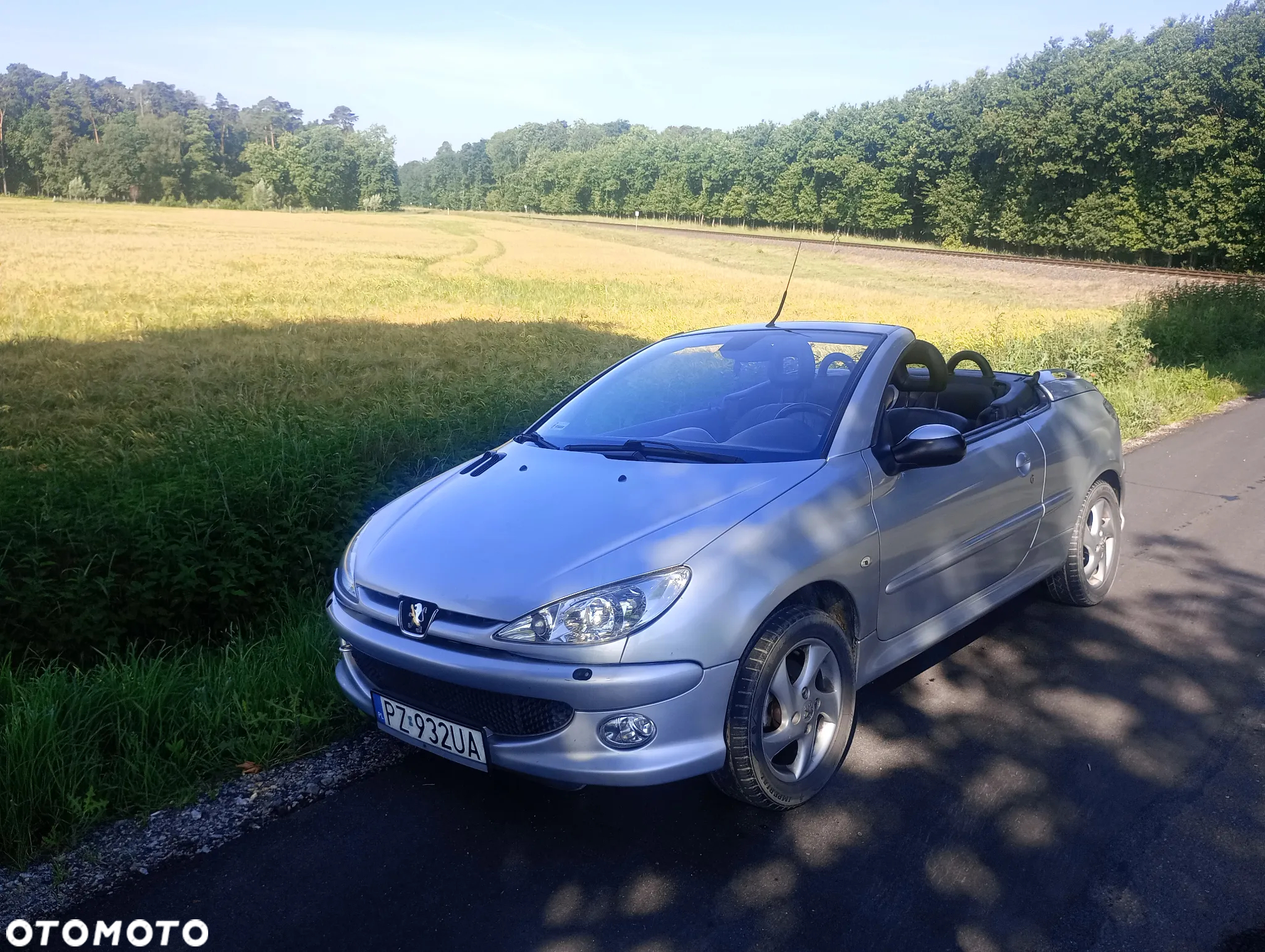 Peugeot 206 - 4