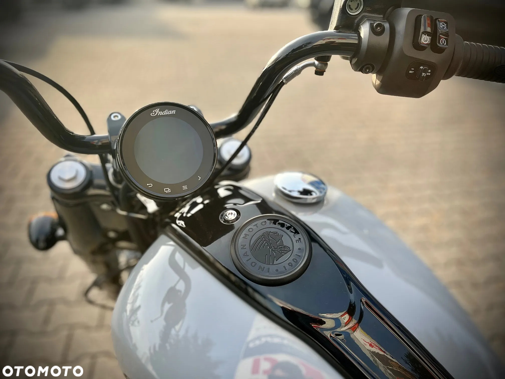Indian Chief - 6