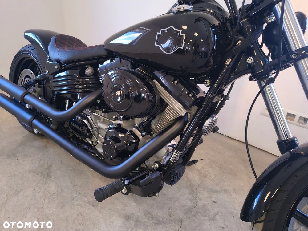 Harley-Davidson Softail - 17