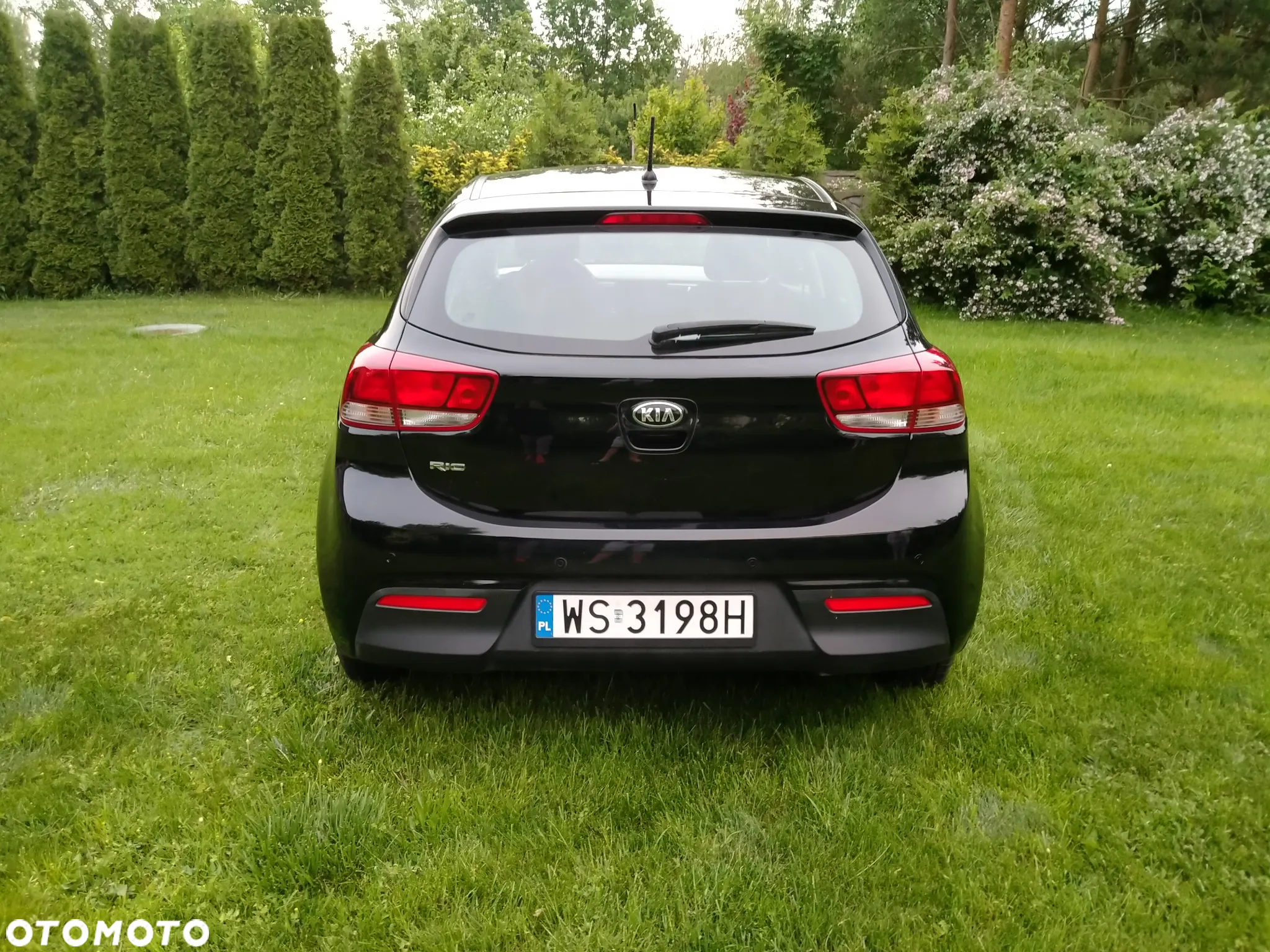 Kia Rio 1.2 M - 8