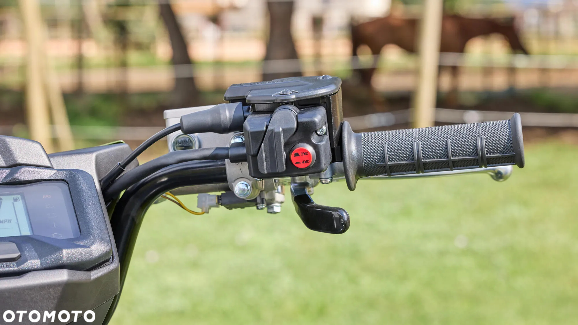 Yamaha Grizzly