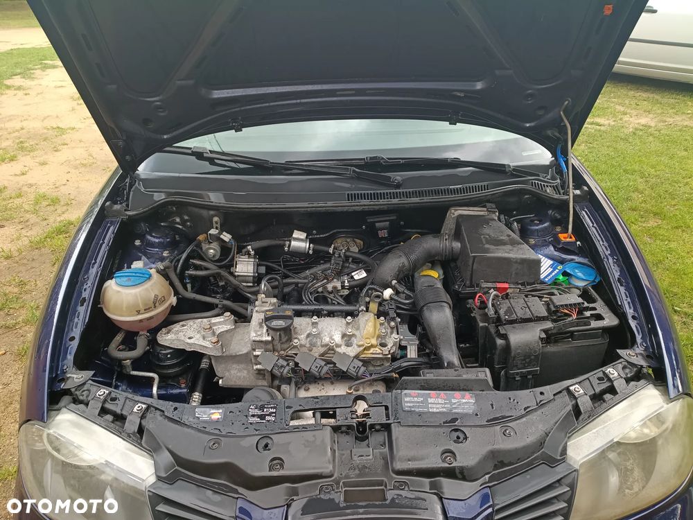 Seat Ibiza - 30