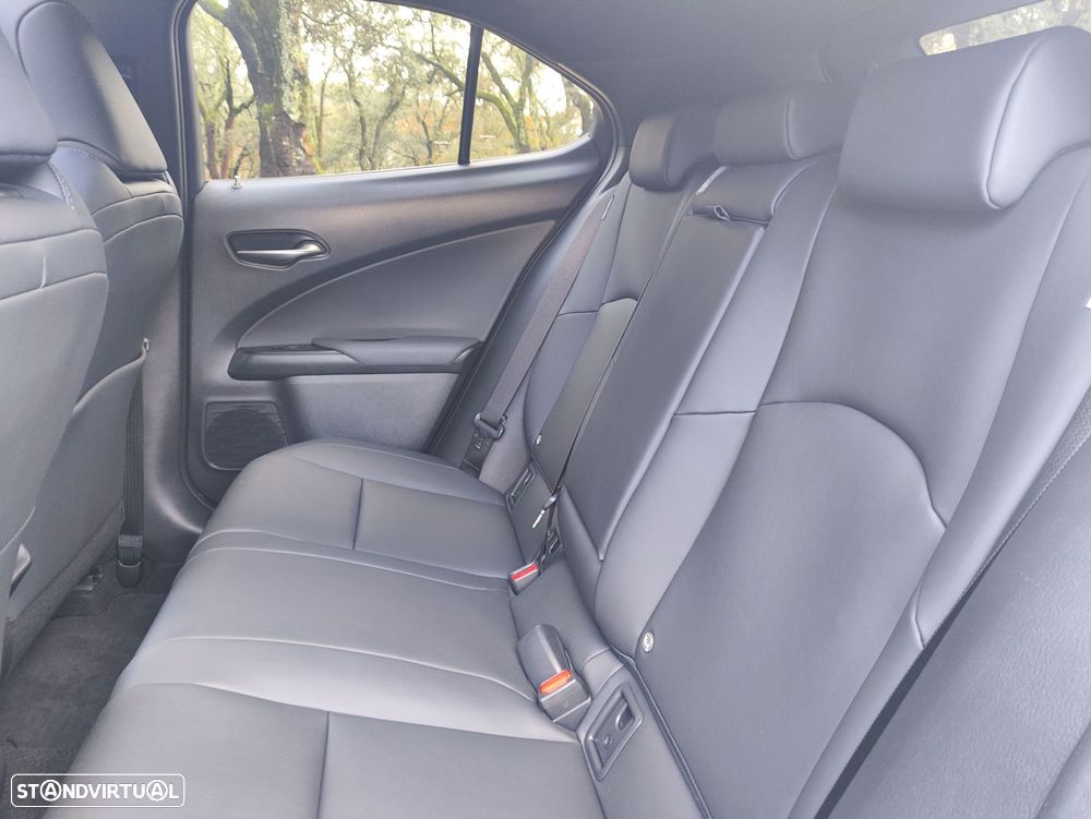 Lexus UX 250h Sport - 18