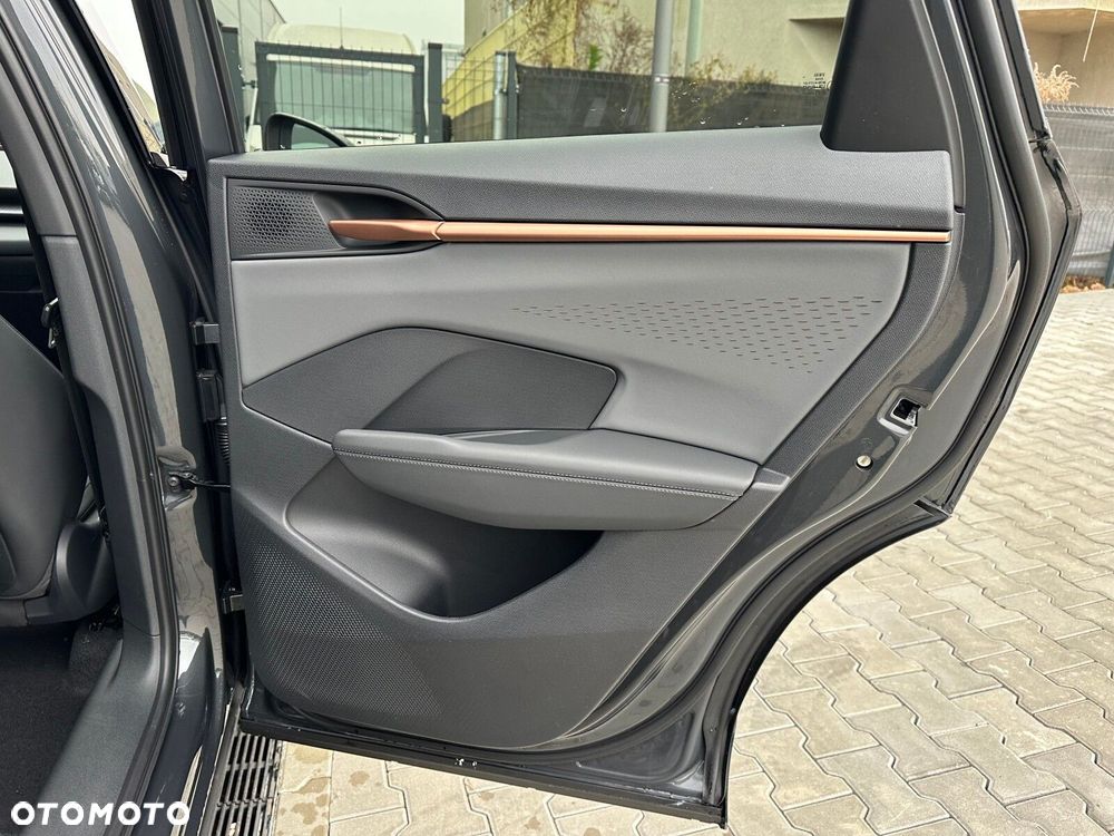 Cupra Terramar 2.0 TSI 4Drive DSG - 25