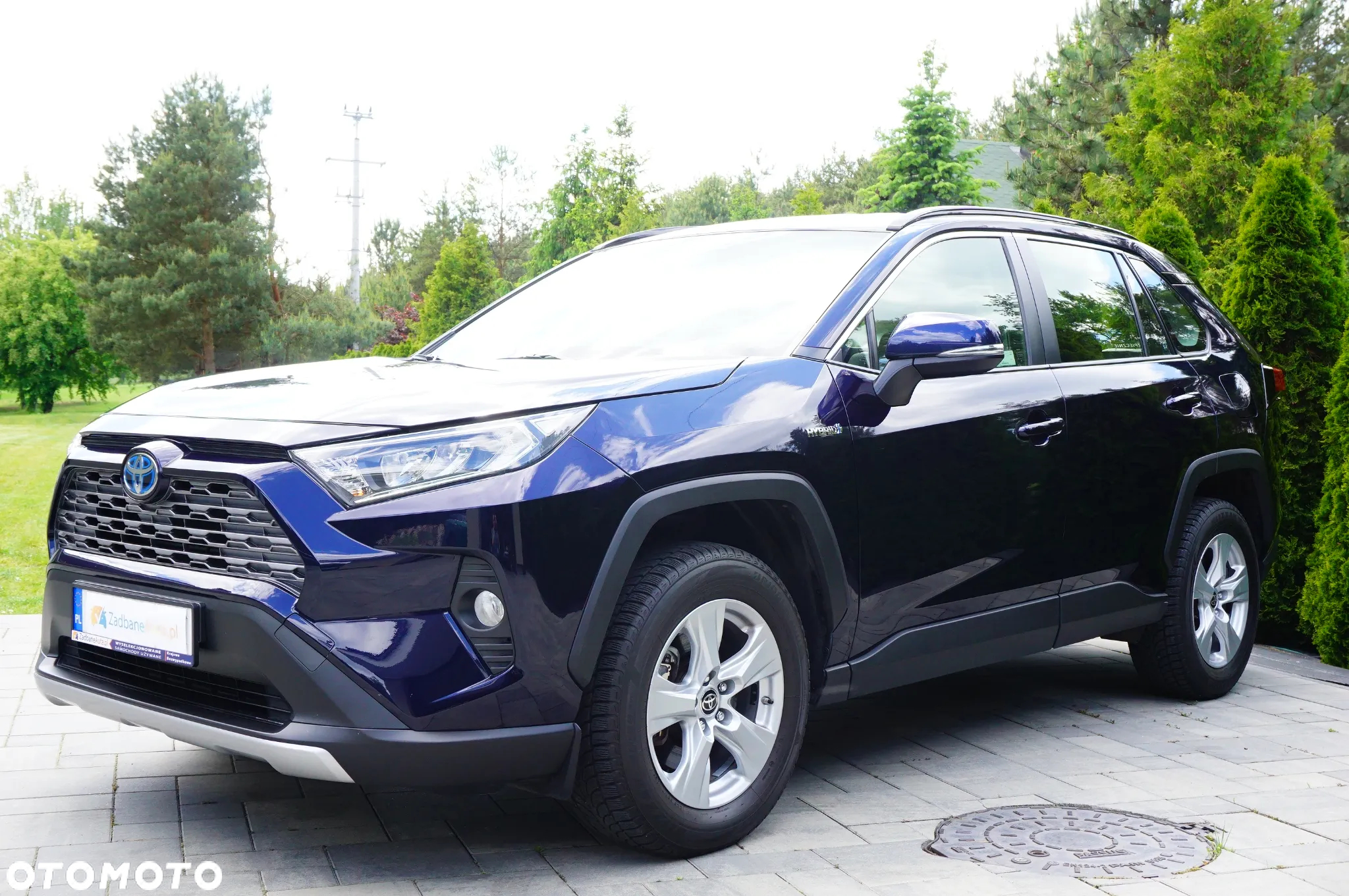 Toyota RAV4 2.5 Hybrid Comfort 4x2 - 9