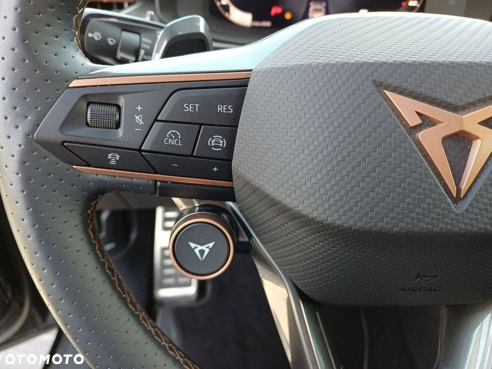 Cupra Terramar 2.0 TSI 4Drive DSG VZ - 22