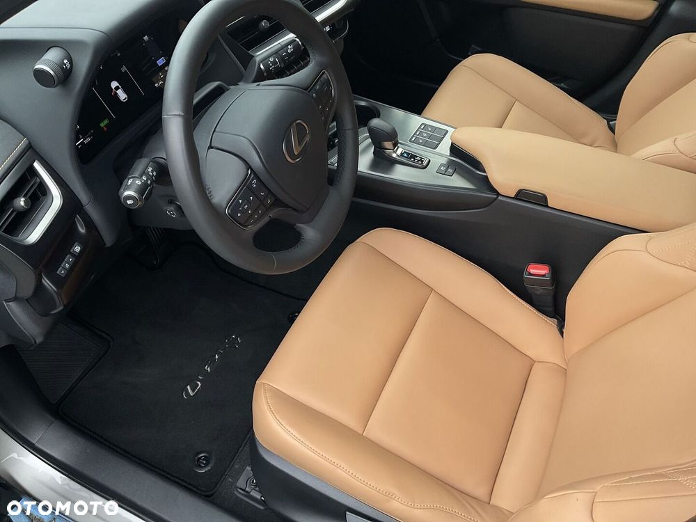 Lexus UX 300h F Sport Design AWD - 21