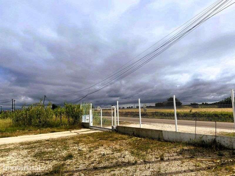 Arrendo Armazém com 350 m2 em Benavente - Grande imagem: 3/12