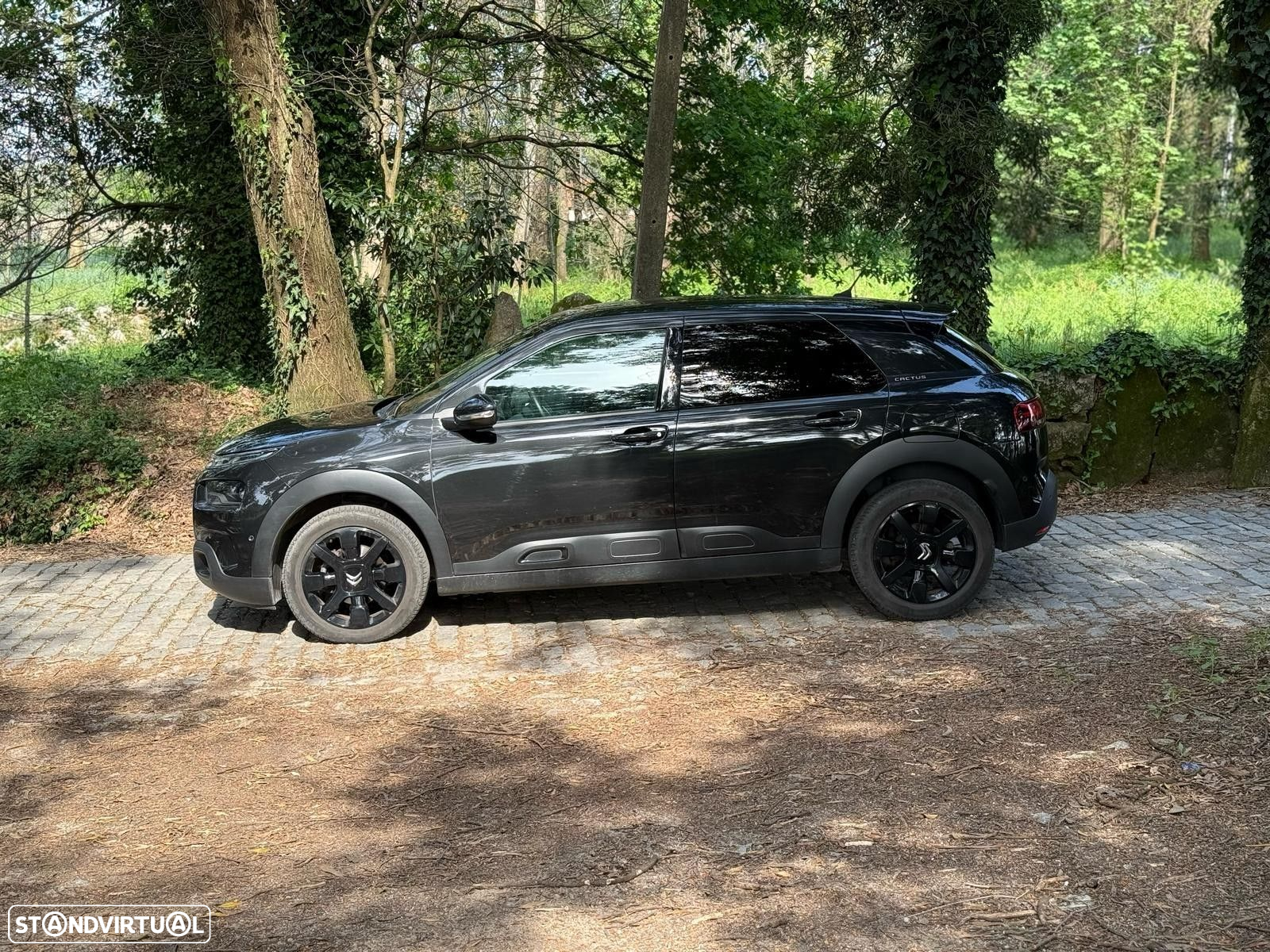 Citroën C4 Cactus 1.2 PureTech Feel - 5