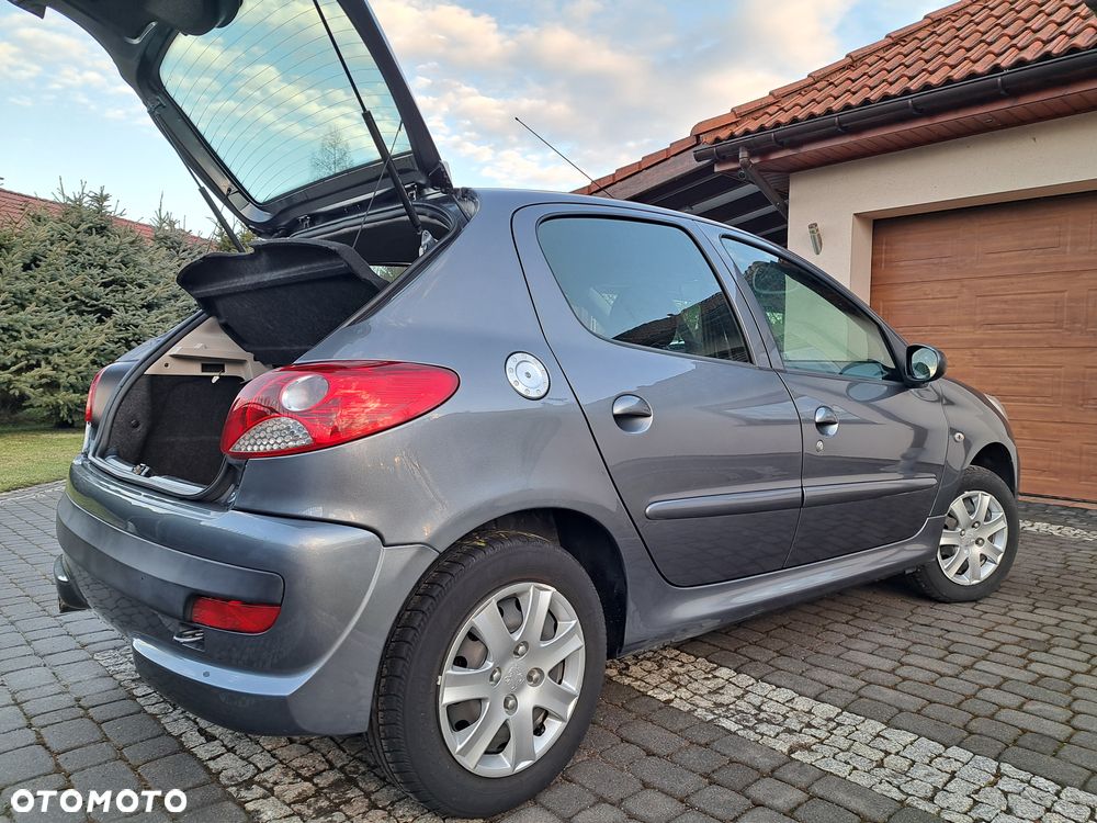 Peugeot 206 plus 60 - 34