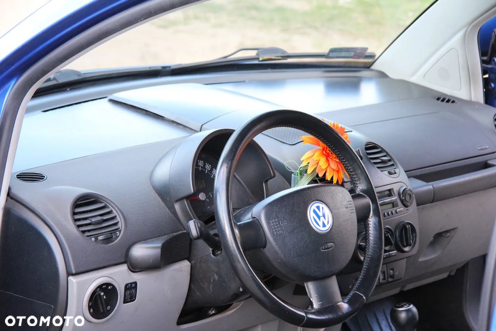 Volkswagen New Beetle - 20