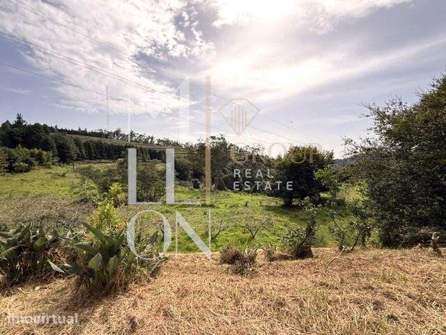 Uma Herdade única na Madeira. - Grande imagem: 4/43