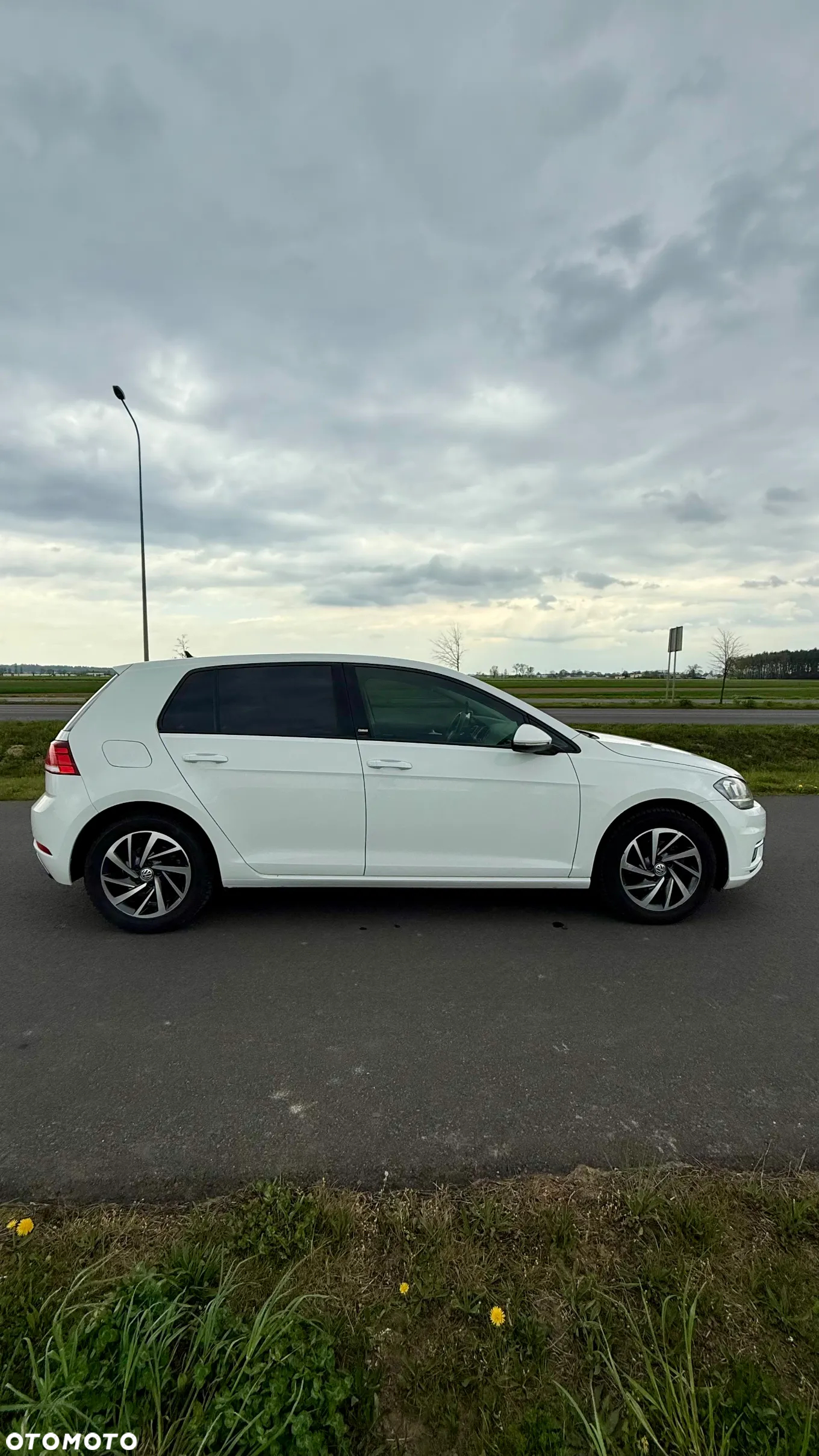 Volkswagen Golf - 8
