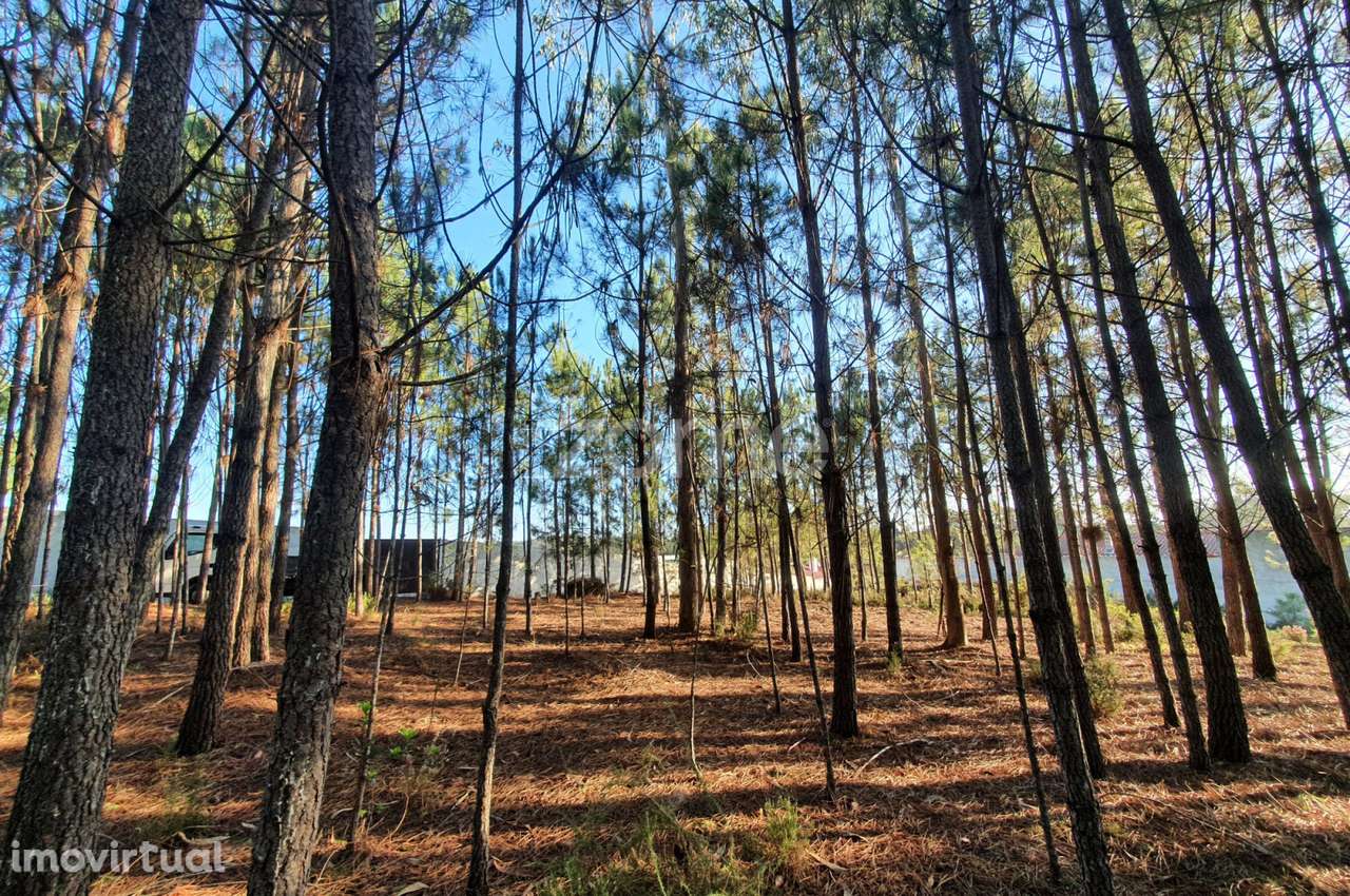 Terreno Rustico - Grande imagem: 2/15