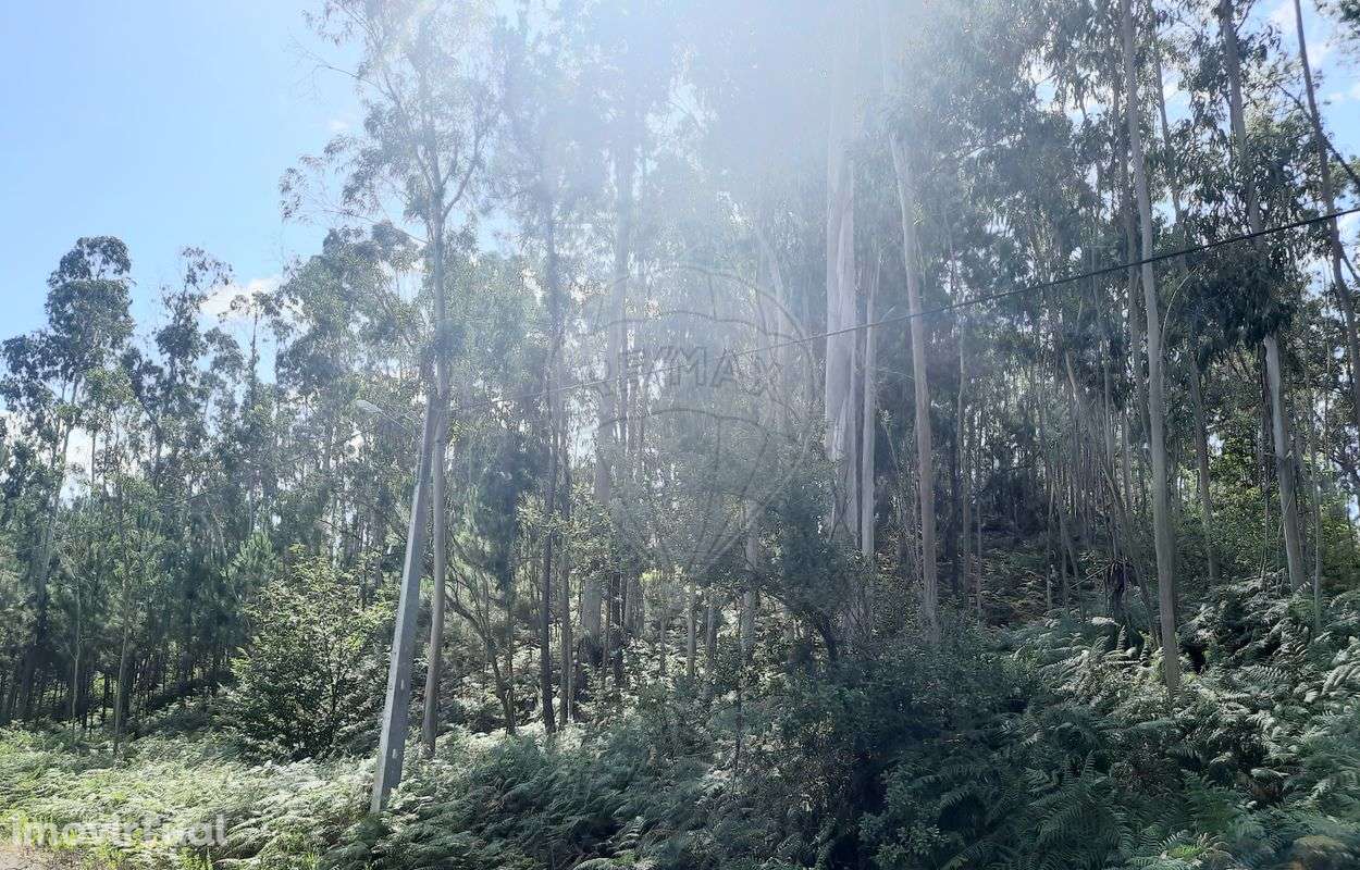 Terreno  para venda - Grande imagem: 5/6