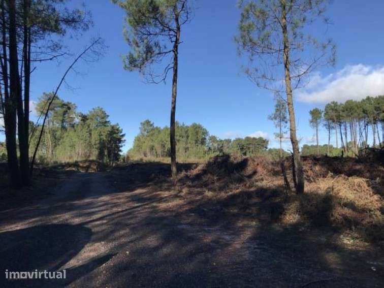 Terreno em Vila Real - Grande imagem: 3/4