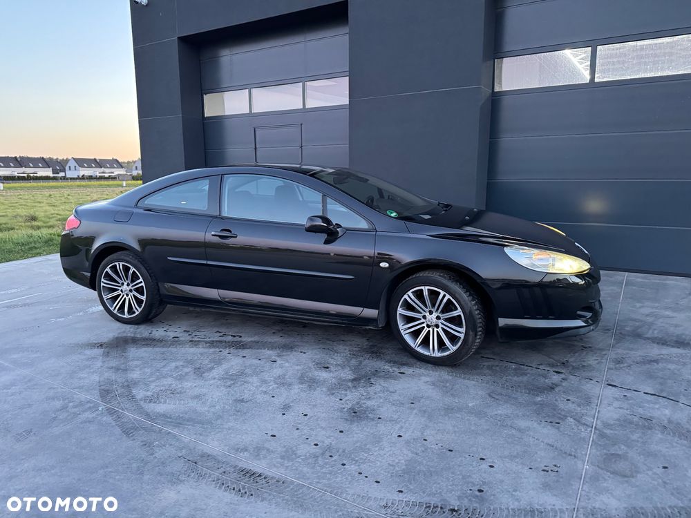 Peugeot 407 165 Sport - 16