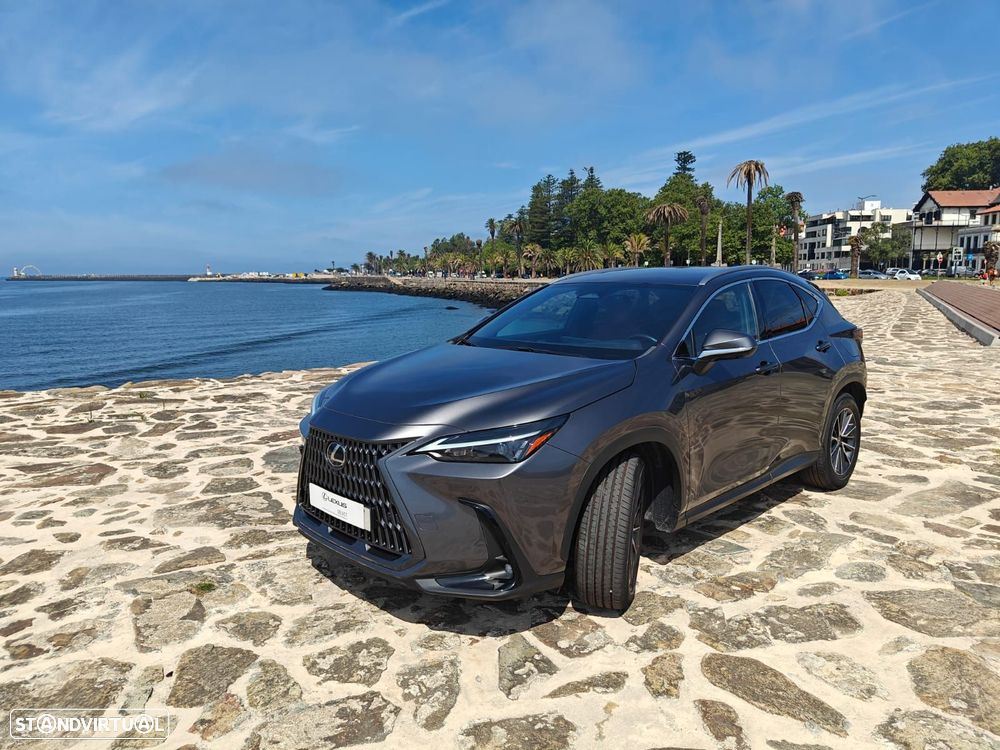 Lexus NX 350h Executive Plus - 2