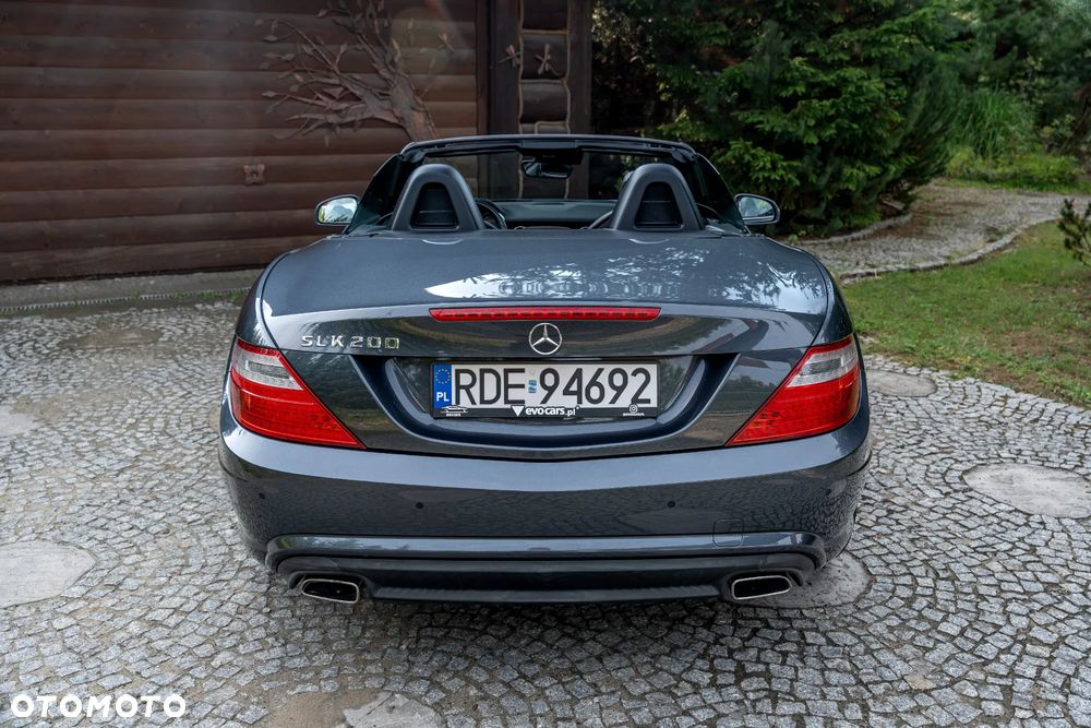 Mercedes-Benz SLK 200 (BlueEFFICIENCY) 7G-TRONIC - 19