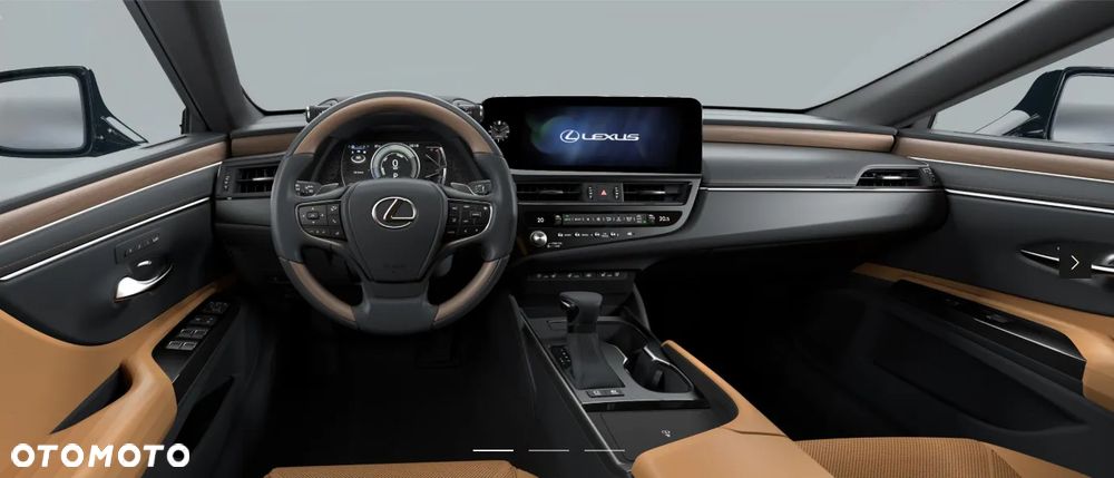 Lexus ES 300h Omotenashi - 4