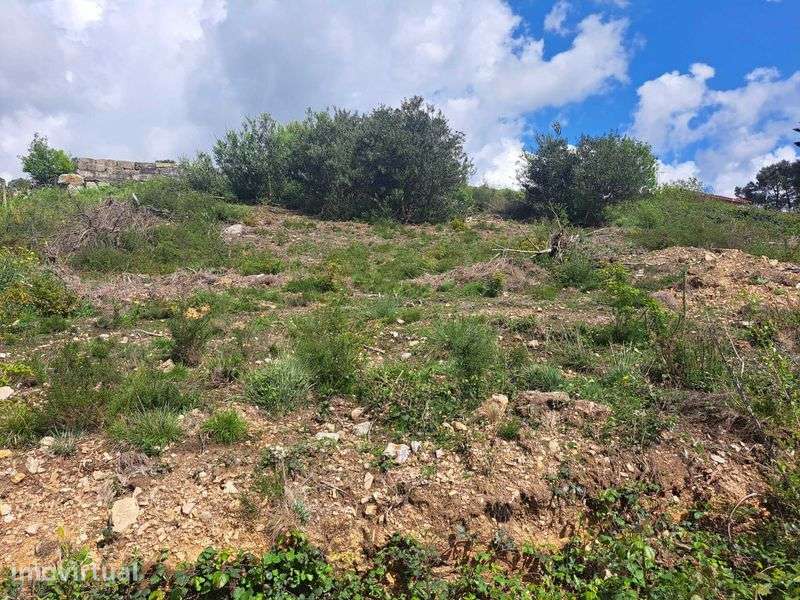 Terreno   com projeto aprovado - Grande imagem: 2/2