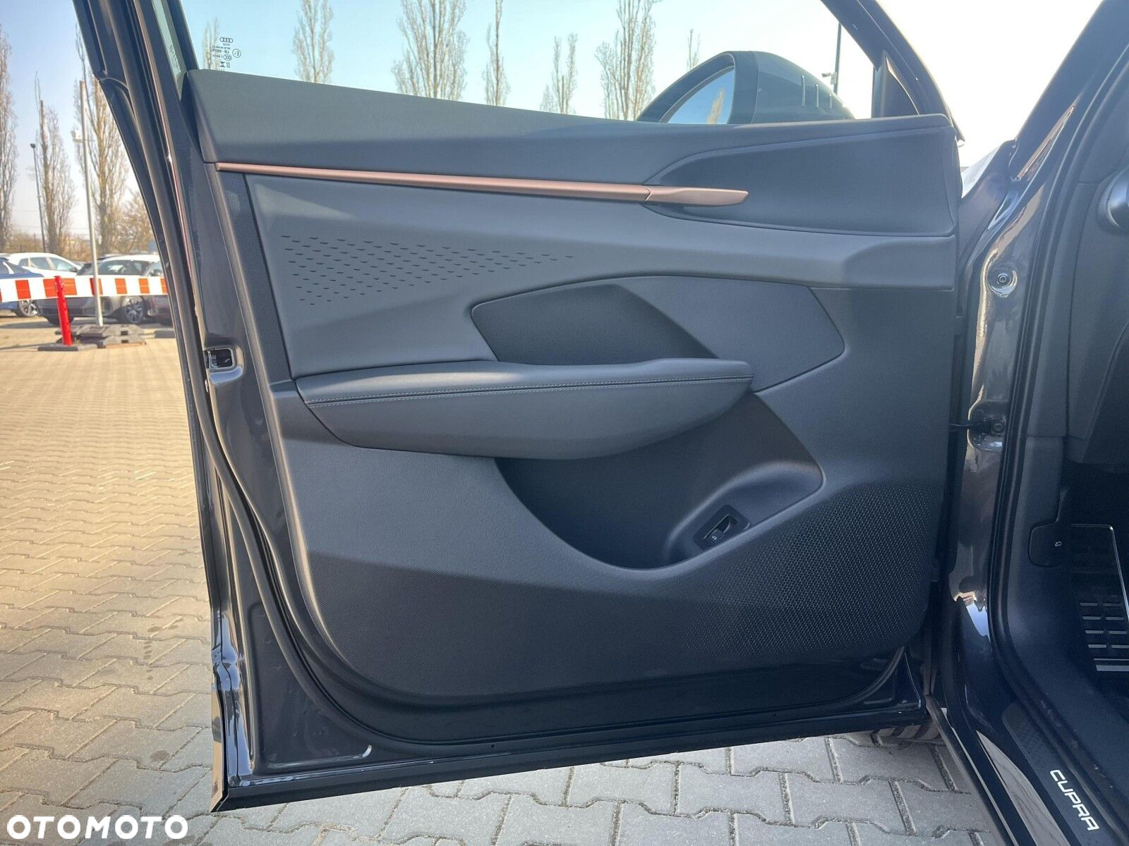 Cupra Terramar - 10