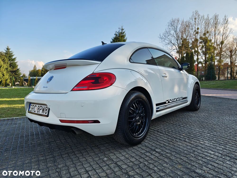 Volkswagen Beetle - 6