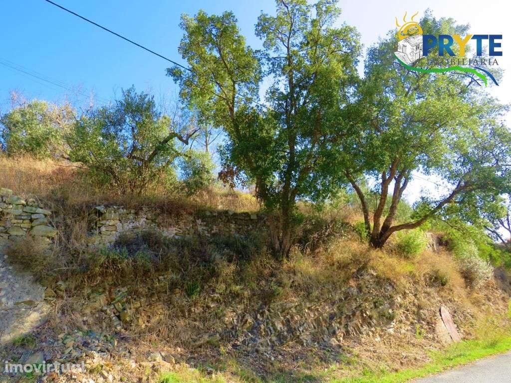 Imóvel com grande potencial para investimento situado perto da Sertã - Grande imagem: 3/60