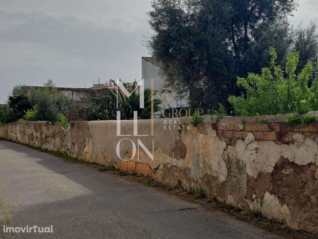 Terreno Urbano com Projeto em Desenvolvimento – Tunes - Grande imagem: 3/13