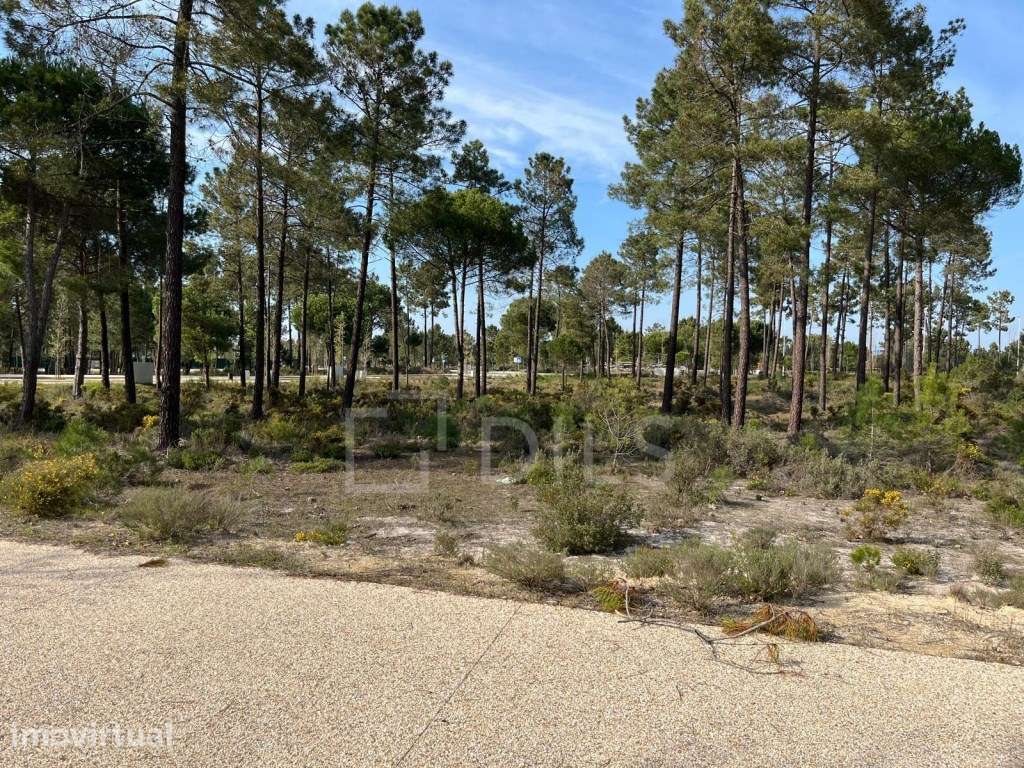 Lote de Terreno num novo empreendimento na Muda, Grândola - Grande imagem: 4/38
