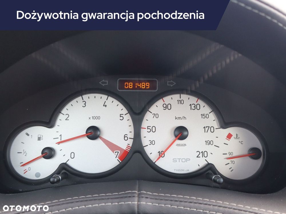 Peugeot 206 - 13