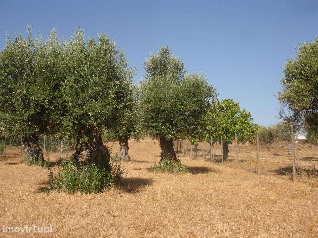 Lote Terreno - Grande imagem: 2/5